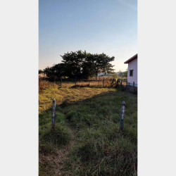  ဒဂုံဆိပ်ကမ်း (84)ရပ်ကွက် ​မြေကွက်အမှတ်(297) Image, classified, Myanmar marketplace, Myanmarkt