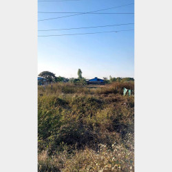  ဒဂုံဆိပ်ကမ်း (85)ရပ်ကွက် ​မြေကွက်အမှတ်(1770) Image, classified, Myanmar marketplace, Myanmarkt