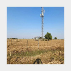  ဒဂုံ​တောင် (146)ရပ်ကွက် ၊ ​မြေကွက်အမှတ်[1520] Image, classified, Myanmar marketplace, Myanmarkt