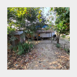  ဒဂုံ​တောင် (145)ရပ်ကွက် ၊ ရတနာပုံလမ်းမကြီး Image, classified, Myanmar marketplace, Myanmarkt