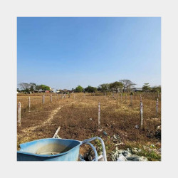  ဒဂုံ​တောင် (145)ရပ်ကွက် ၊ မြေကွက်အမှတ်(499)၊ Image, classified, Myanmar marketplace, Myanmarkt