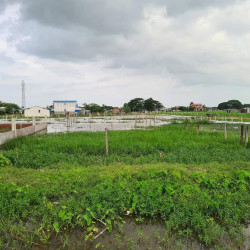  ဒဂုံဆိပ်ကမ်း (85)ရပ်ကွက် မြေကွက်အမှတ်(68) Image, classified, Myanmar marketplace, Myanmarkt