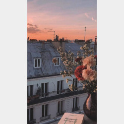  မြန်မာ့ဂုဏ်ရည်လမ်းမအနီး_မီနီကွန်ဒိုရောင်းမည်။ Image, classified, Myanmar marketplace, Myanmarkt