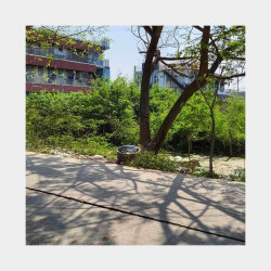  ဒဂုံဆိပ်ကမ်း(89)ရပ်ကွက်  မြေကွက်အမှတ် (8+9) Image, classified, Myanmar marketplace, Myanmarkt