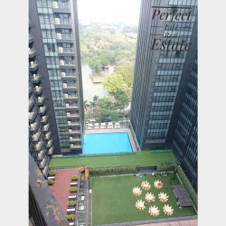  ကန်‌တော်ကြီးအနီး_ကန်သာယာကွန်ဒိုအလွှာမြင့် Image, classified, Myanmar marketplace, Myanmarkt