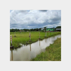  တောင်ဒဂုံ [153]ရပ်ကွက် ၊မြေကွက်အမှတ်[2211] ၊ Image, classified, Myanmar marketplace, Myanmarkt