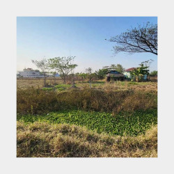  ဒဂုံ​တောင် [145]ရပ်ကွက် ၊​မြေကွက်အမှတ် [638] Image, classified, Myanmar marketplace, Myanmarkt