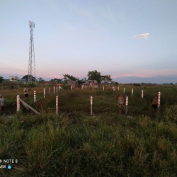  ခြံအရောင်း Image, classified, Myanmar marketplace, Myanmarkt