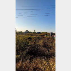  ဒဂုံဆိပ်ကမ်း (85)ရပ်ကွက် ​မြေကွက်အမှတ်(1770) Image, classified, Myanmar marketplace, Myanmarkt