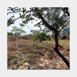  ဒဂုံ​ဆိပ်ကမ်း (90)ရပ်ကွက် ​၊ မြေကွက် Image, classified, Myanmar marketplace, Myanmarkt