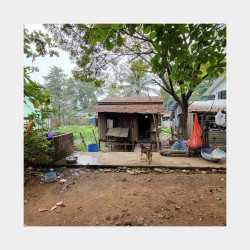  🏡ဒဂုံဆိပ်ကမ်း ၊68ရပ်ကွက် ၊သံလွင်လမ်းမကြီး​အနီး Image, classified, Myanmar marketplace, Myanmarkt