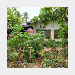  တောင်ဒဂုံ (19)ရပ်ကွက် မြိတ်လမ်းမကြီးပေါ် တောင် Image, classified, Myanmar marketplace, Myanmarkt