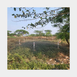  ဒဂုံ​ဆိပ်ကမ်း(90)ရပ်ကွက် ၊မြေကွက်အမှတ်(468) Image, classified, Myanmar marketplace, Myanmarkt