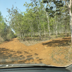  ရော်ဘာခြံနင့်မြေနှစ်30ကျပြီးဂရန်မြေ Image, classified, Myanmar marketplace, Myanmarkt