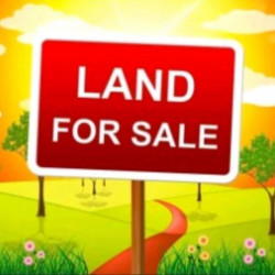 Land and House for sale Image