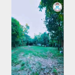  မှော်ဘီမြို့နယ် (မြောင်းတကာ)#ပြည်လမ်းမကြီးပေါ် နေရာကောင်းအချက်အချာကျ မြေကွက် အရောင်း..... Image, classified, Myanmar marketplace, Myanmarkt