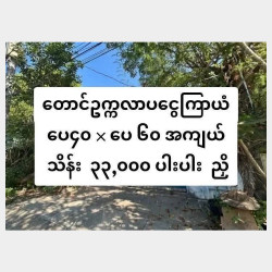 သိန်း၃၃၀၀၀ညှိတောင်ဥက္ကလာ ငွေကြာယံရိပ်သာ လုံးချင်းအရောင်း Image