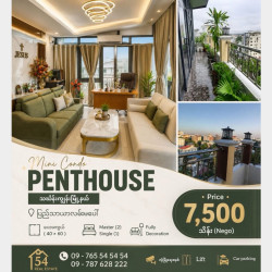  ပြည်သာယာလမ်းမပေါ် တွင် #pethhouse #ကြိုက်တက်သူများအတွက် Image, classified, Myanmar marketplace, Myanmarkt