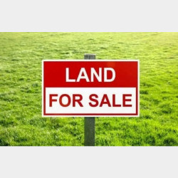  မြေကွက်သီးသန့်_အရောင်း Image, classified, Myanmar marketplace, Myanmarkt