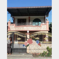  တ/ဥလုံးချင်းတိုက်အဌား Image, classified, Myanmar marketplace, Myanmarkt