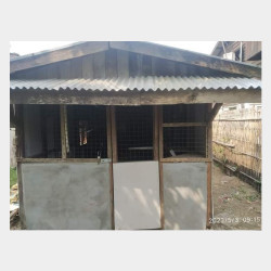  ဒဂုံတောင်ပိုင်းမြို့န ယ်လုံးချင်းအိမ် သီးသန့်အ ဌား Image, classified, Myanmar marketplace, Myanmarkt