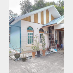  မရမ်းကုန်းမြို့နယ် လုံးချင်အငှားမယ်နော် Image, classified, Myanmar marketplace, Myanmarkt