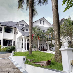  မရမ်းကုန်းမြို့နယ်လုံးချင်းအိမ် ပြင်ဆင်ပြီး ငှားမယ်နော် Image, classified, Myanmar marketplace, Myanmarkt