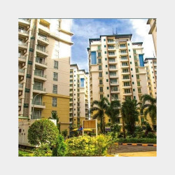  ကွန်တိုအငှား Image, classified, Myanmar marketplace, Myanmarkt