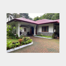  အင်းယားမြိုင်(ဗဟန်း) Image, classified, Myanmar marketplace, Myanmarkt