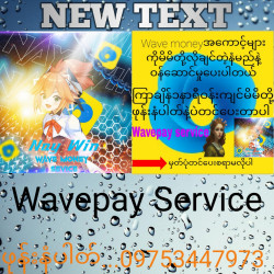 Wavepay service Image